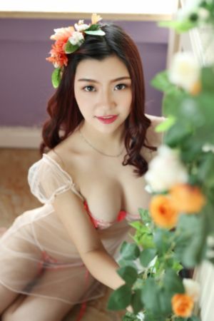 命定婚宠短剧免费观看完整版高清