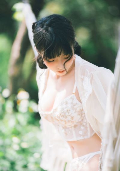 武朝迷案
